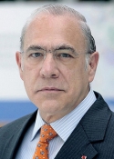 Imagen de Excmo. Sr. D. José Ángel Gurría Treviño