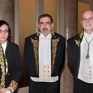 Admission of Excmo. Sr. Dr. D. Arturo Rodríguez Castellanos, as Full Academician (medal nº 22), 12/10/2015 - 12-15-2015
