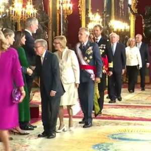 La RACEF participa en la Audiencia del Rey con motivo del Día de la Hispanidad, 12/10/2025 - 12/10/2025